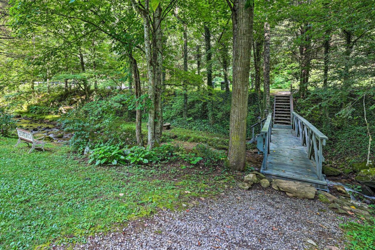 Creekside Roan Mountain Cabin Walk To Trails Zewnętrze zdjęcie