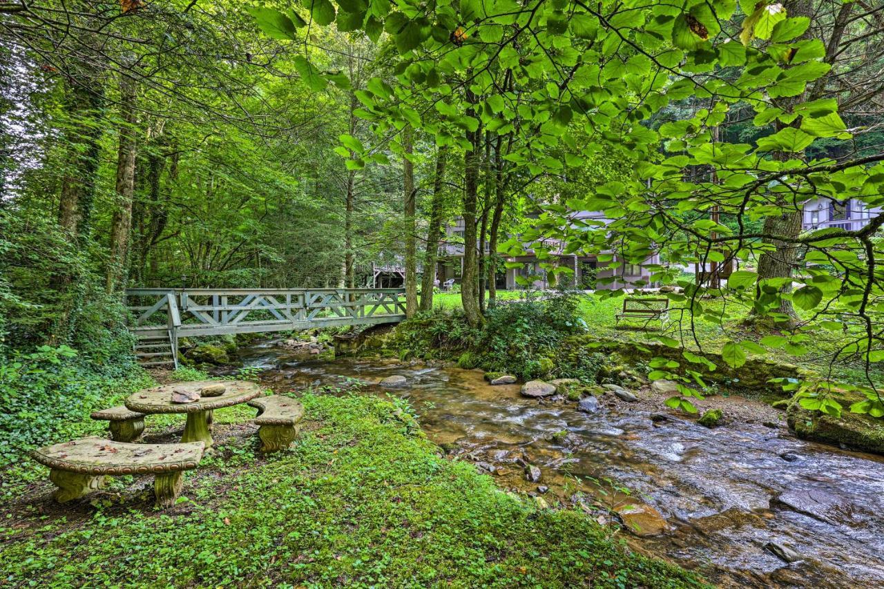 Creekside Roan Mountain Cabin Walk To Trails Zewnętrze zdjęcie