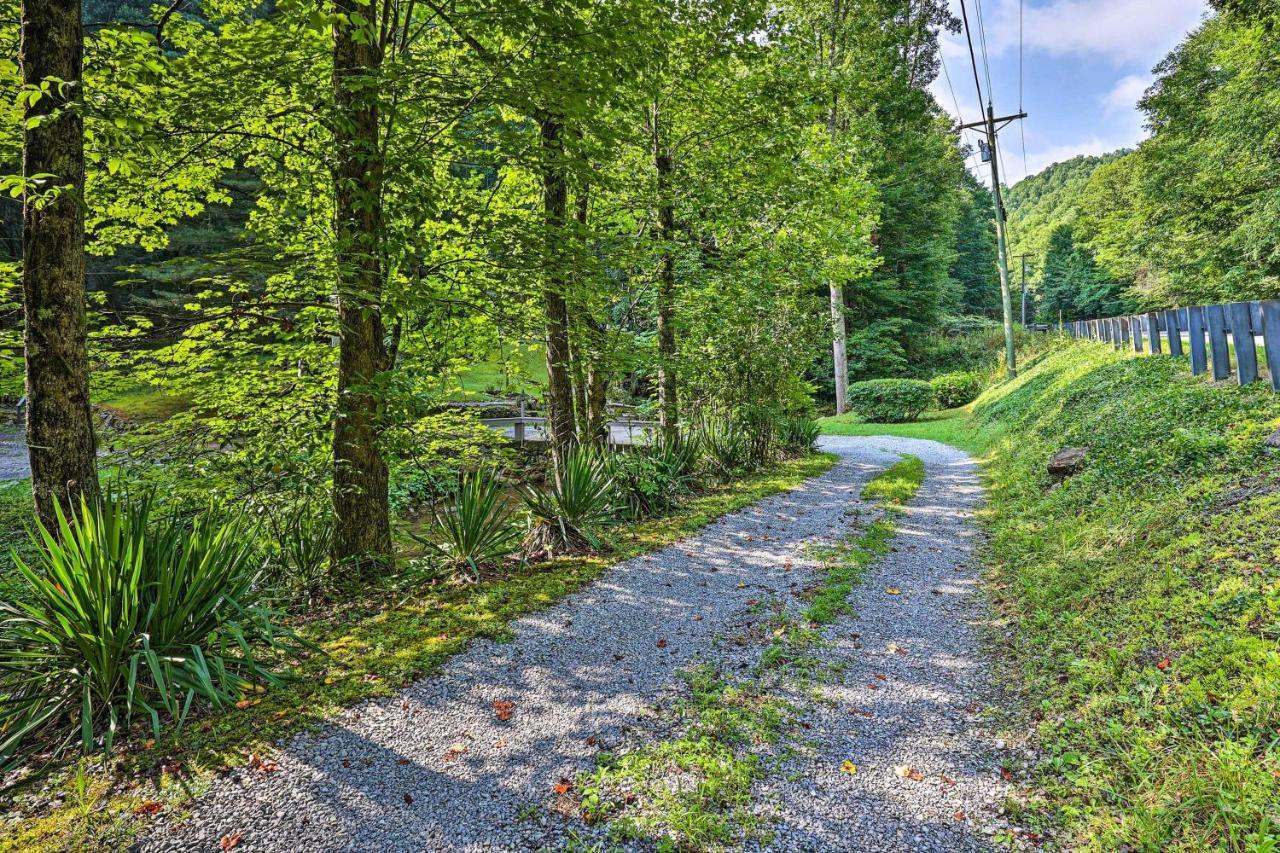 Creekside Roan Mountain Cabin Walk To Trails Zewnętrze zdjęcie