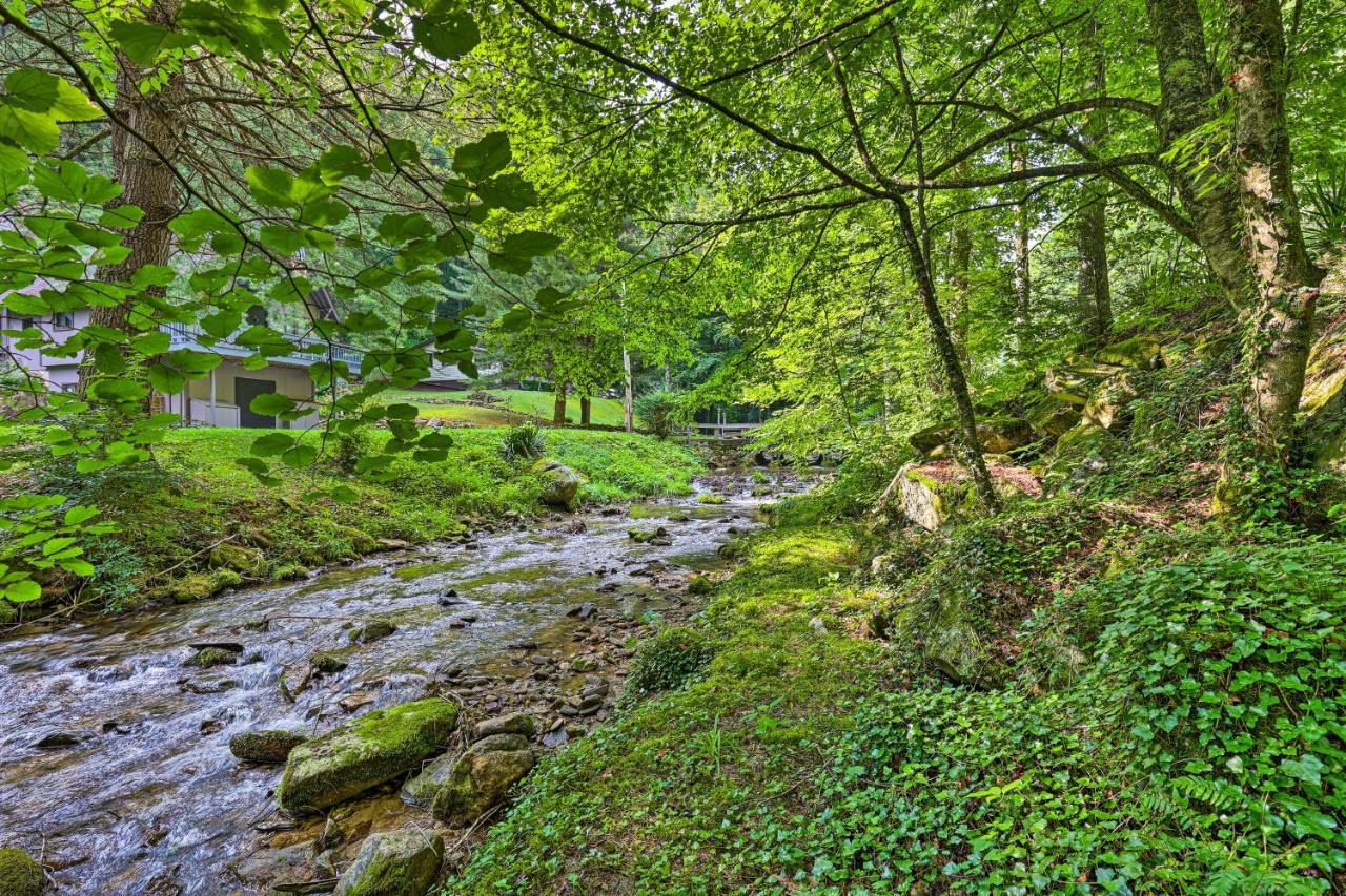 Creekside Roan Mountain Cabin Walk To Trails Zewnętrze zdjęcie